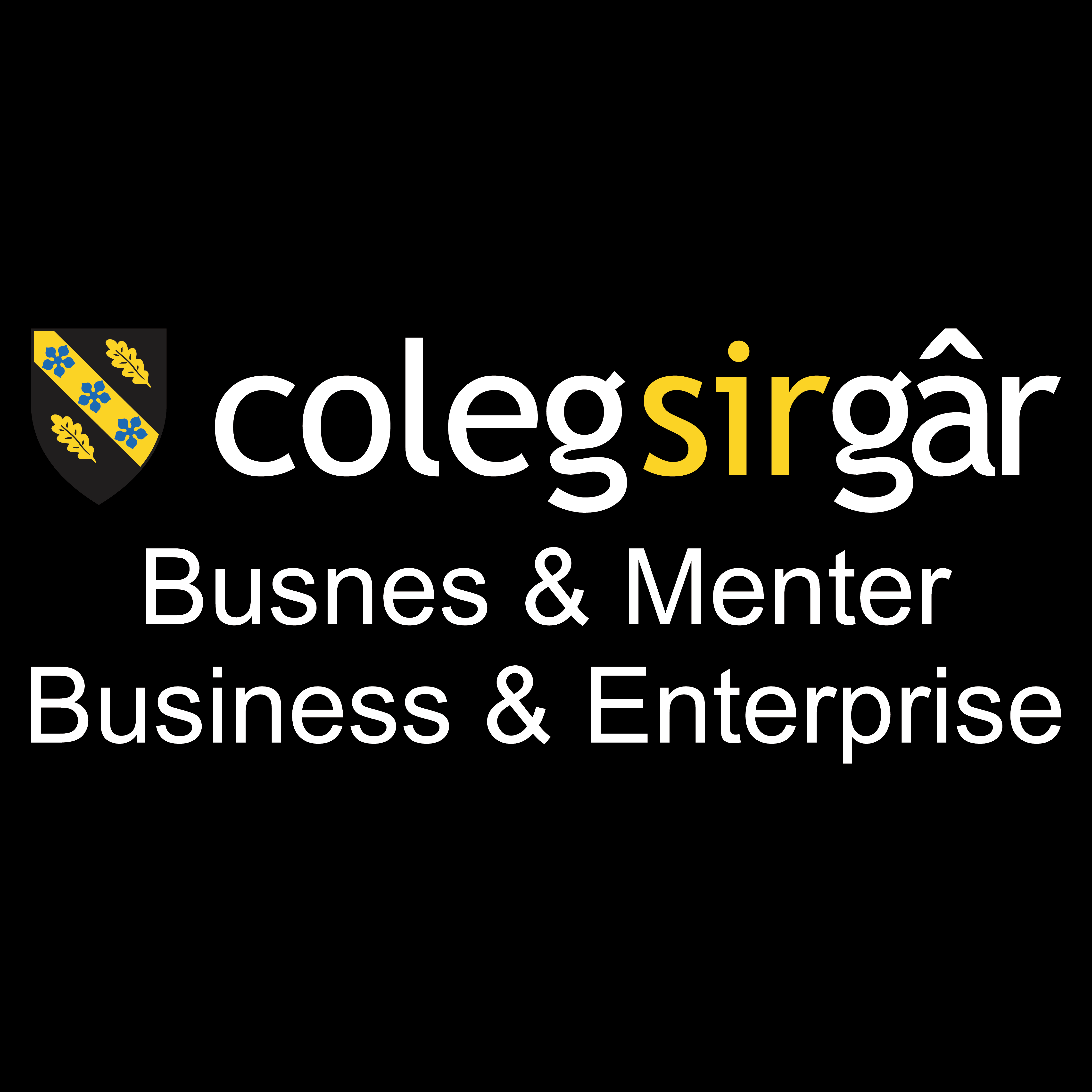 CSG Business & Enterprise