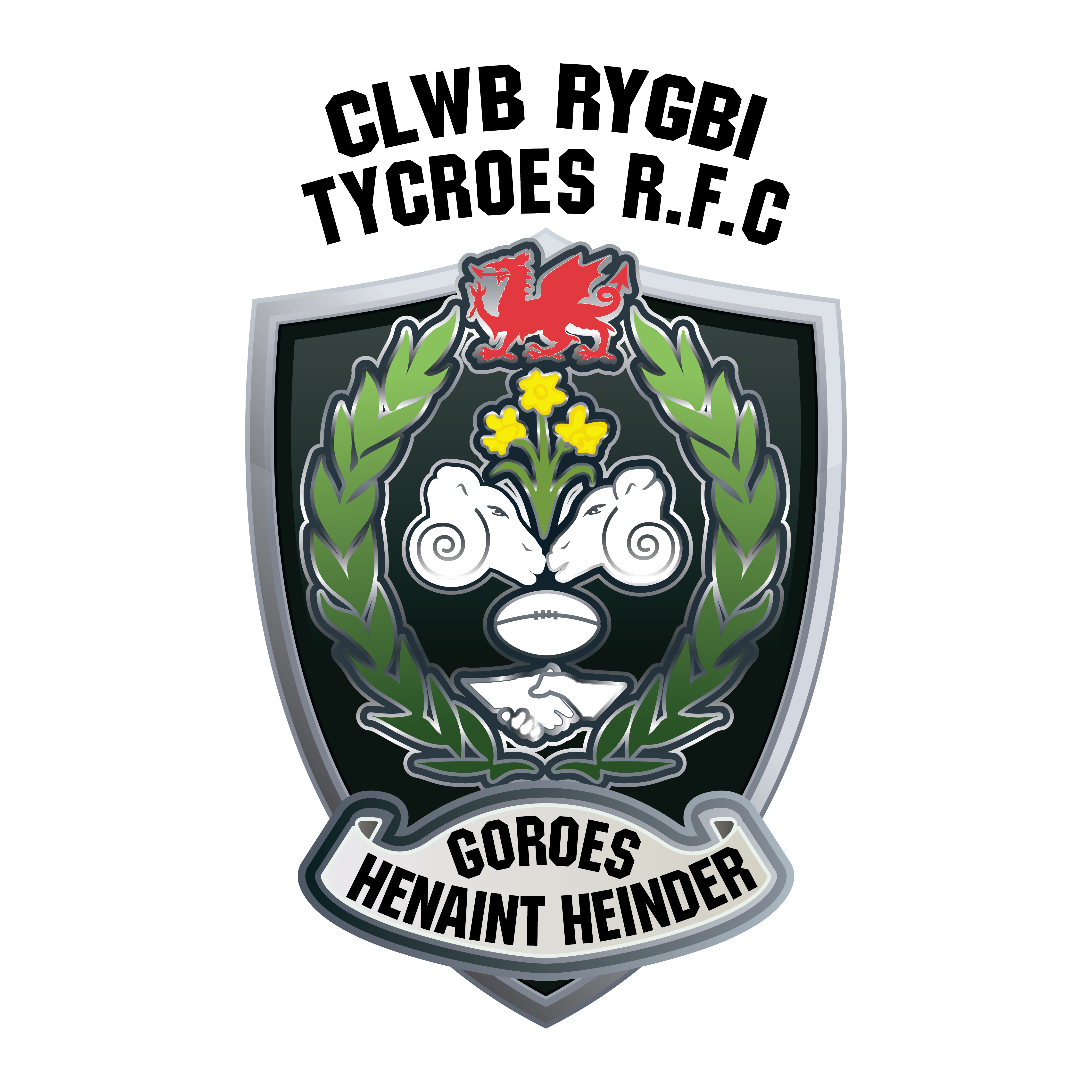 Tycroes RFC - Adult Sizes