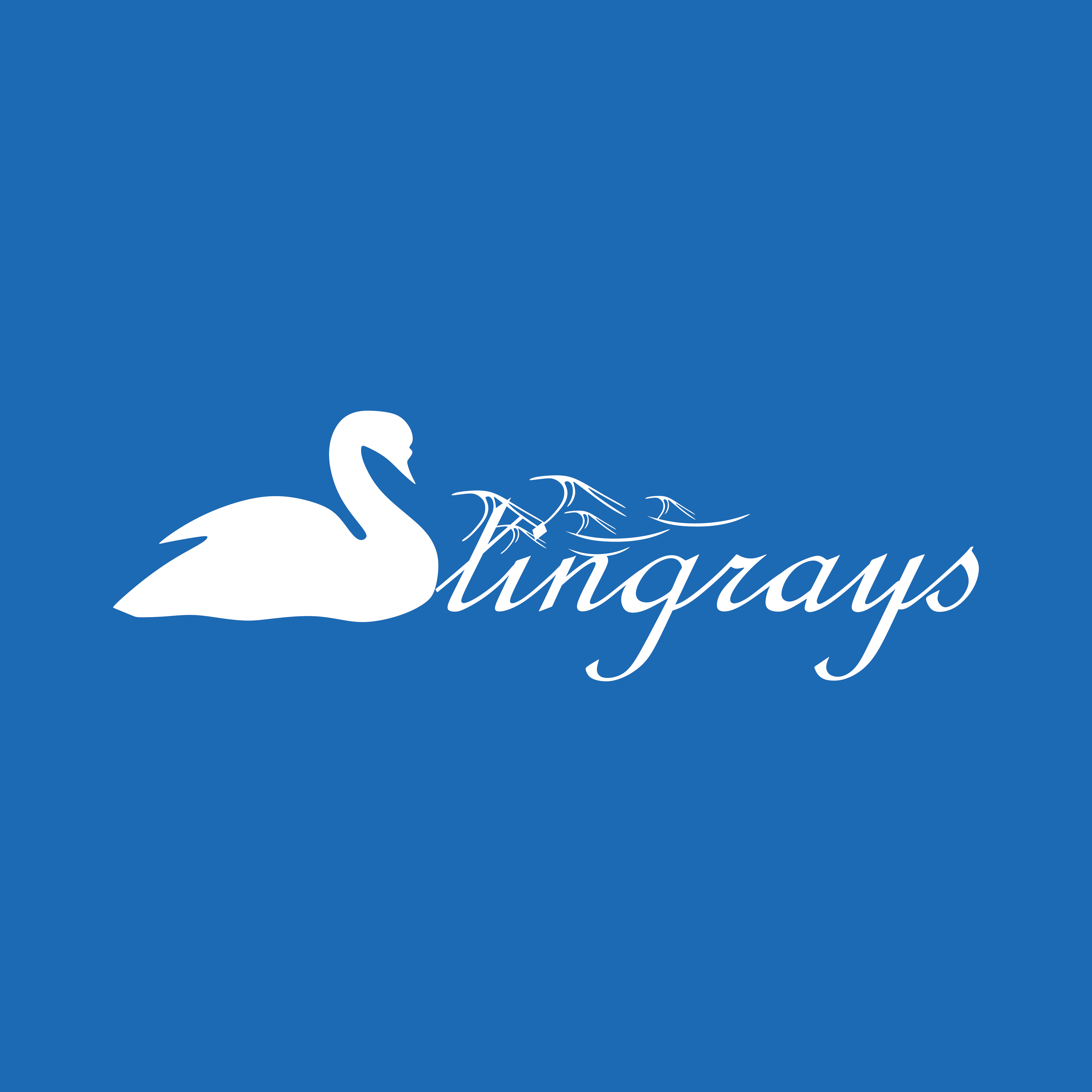 Swansea Stingrays - Adult