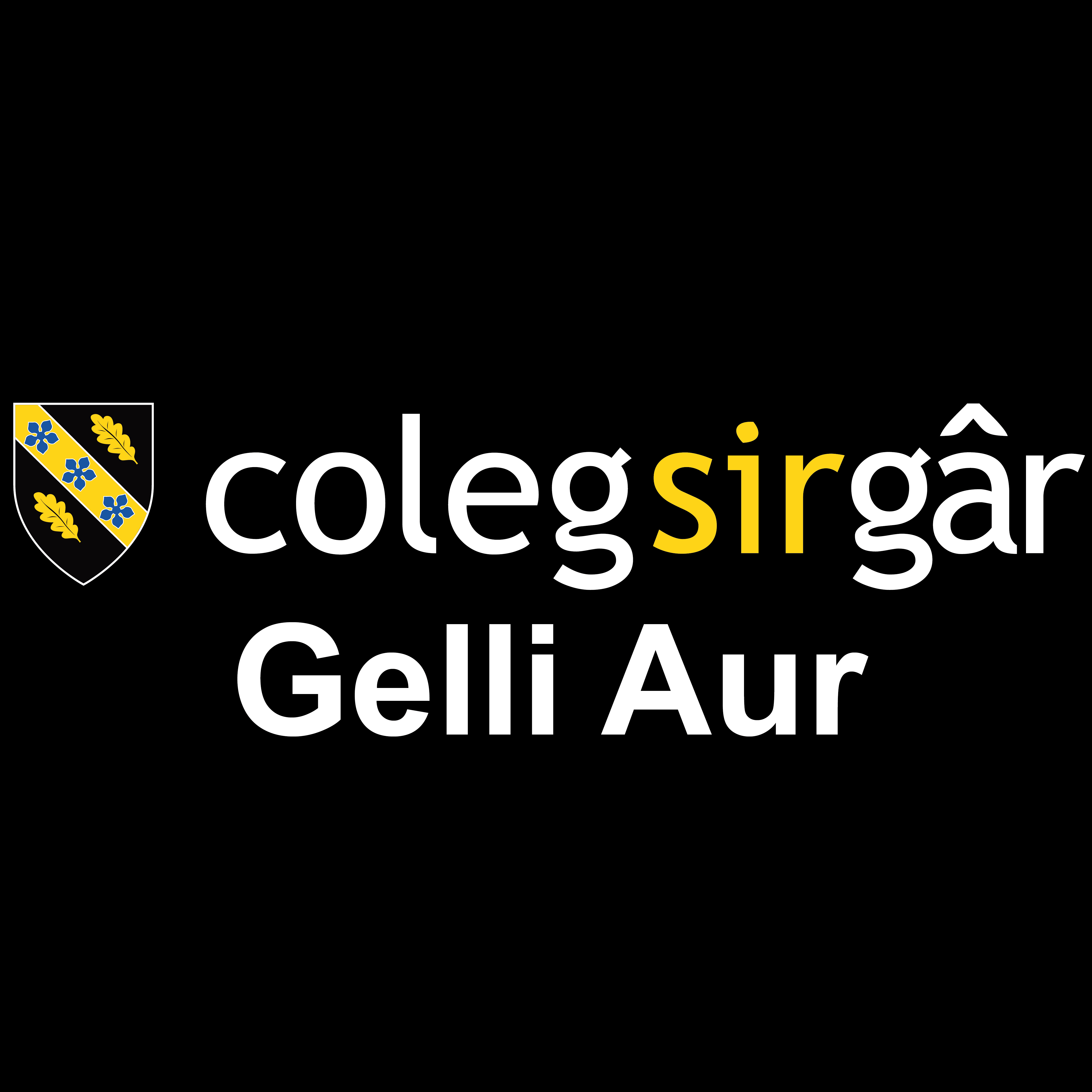 CSG Gelli Aur