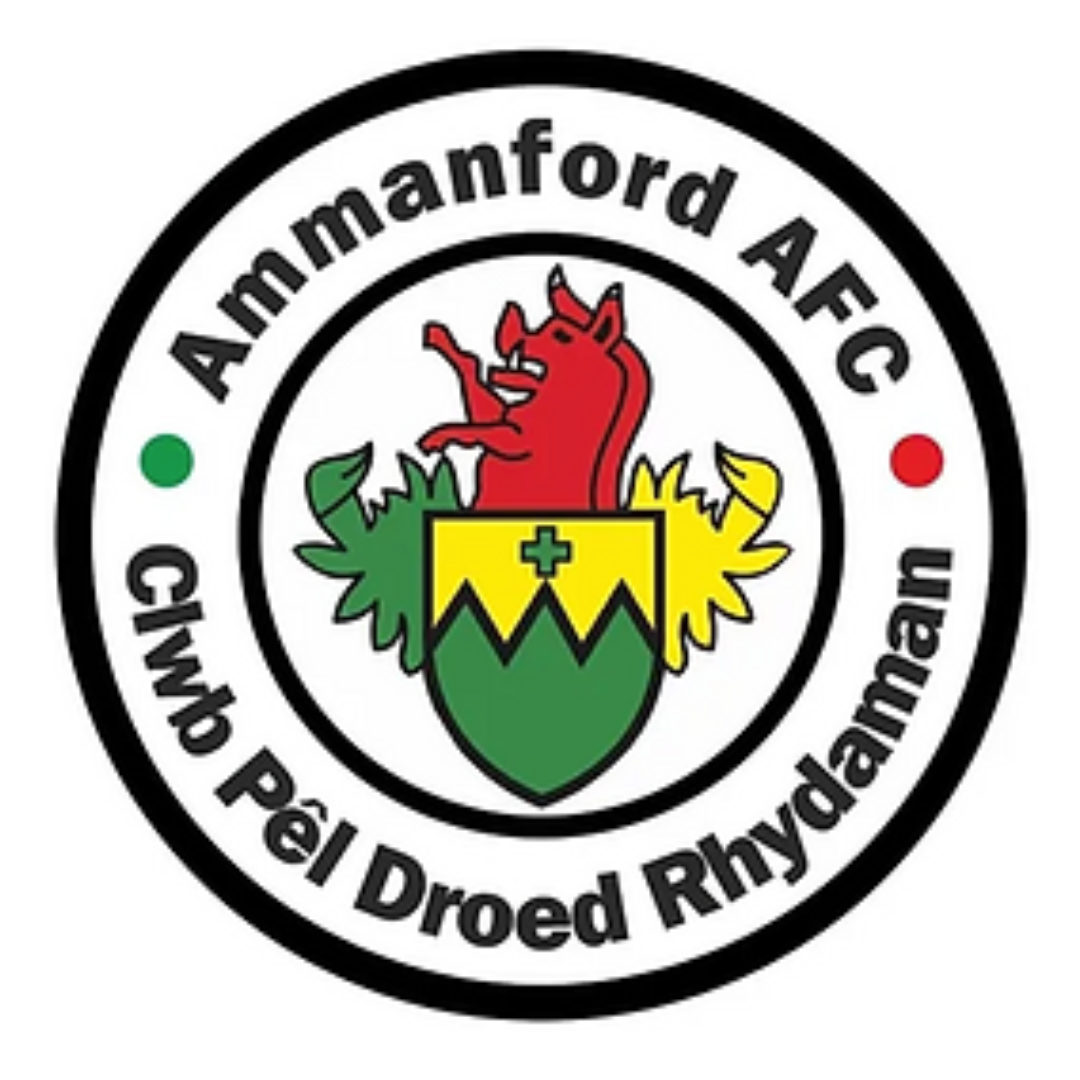 U11 Girls Ammanford Juniors AFC