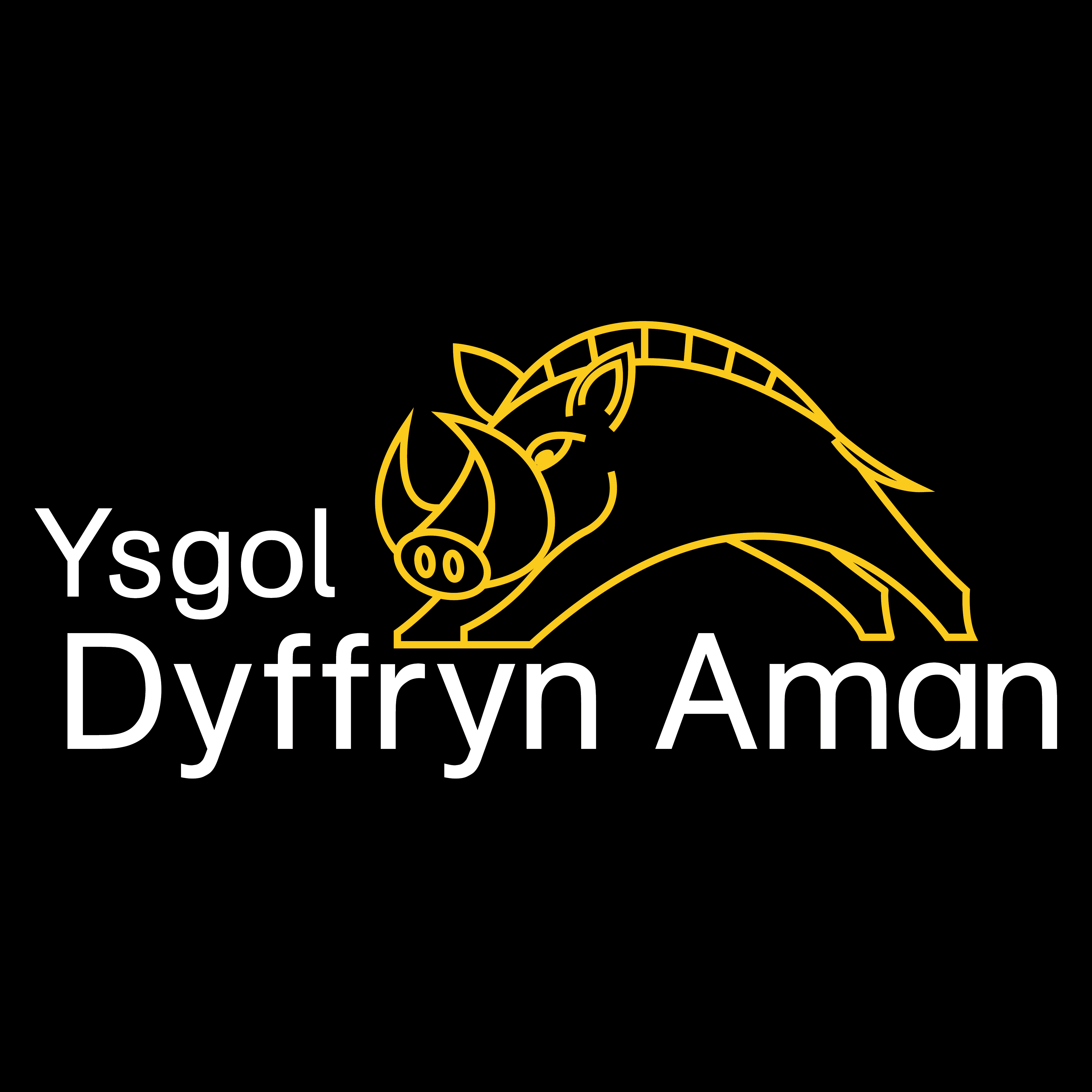 Ysgol Dyffryn Amman - Adults