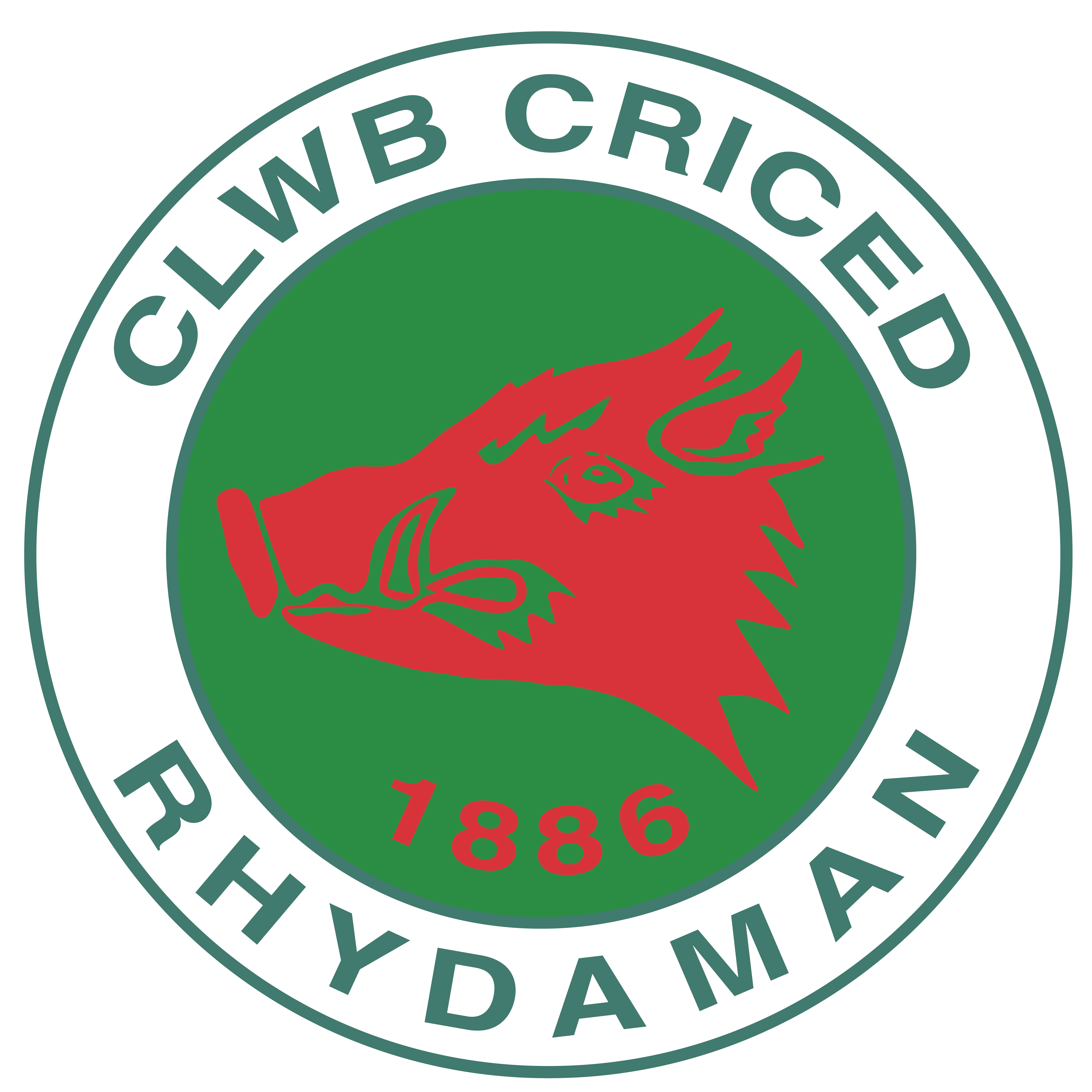 Ammanford Cricket - Kids