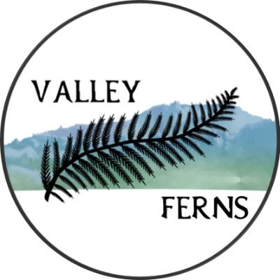 Valley Ferns