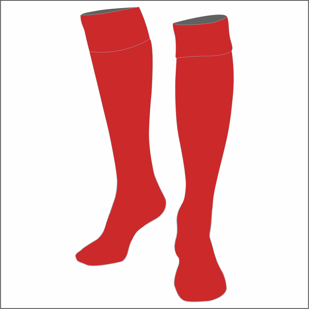 Prince Of Wales Rugby Socks