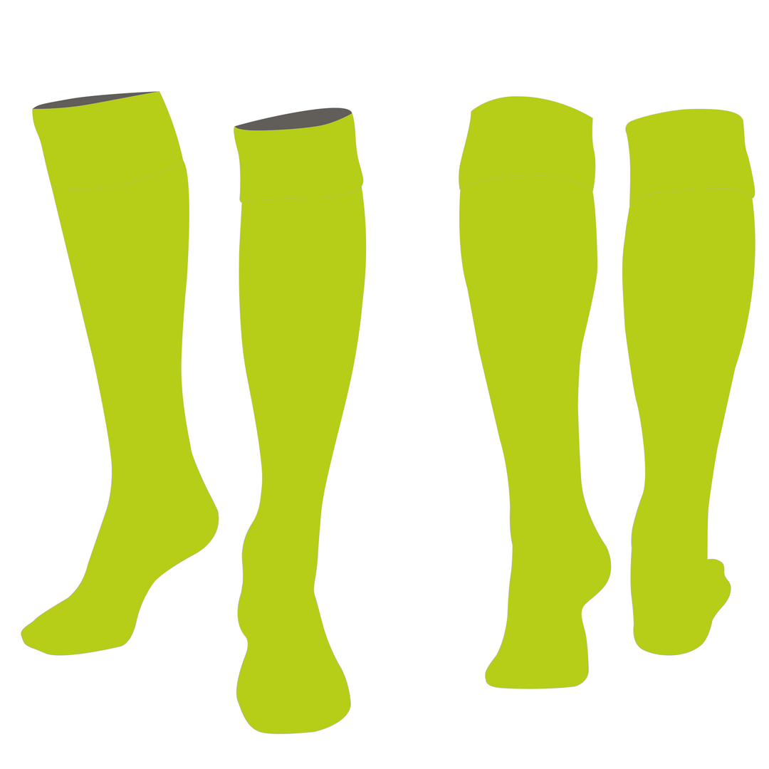 CSFA Girls Goalkeeper Socks