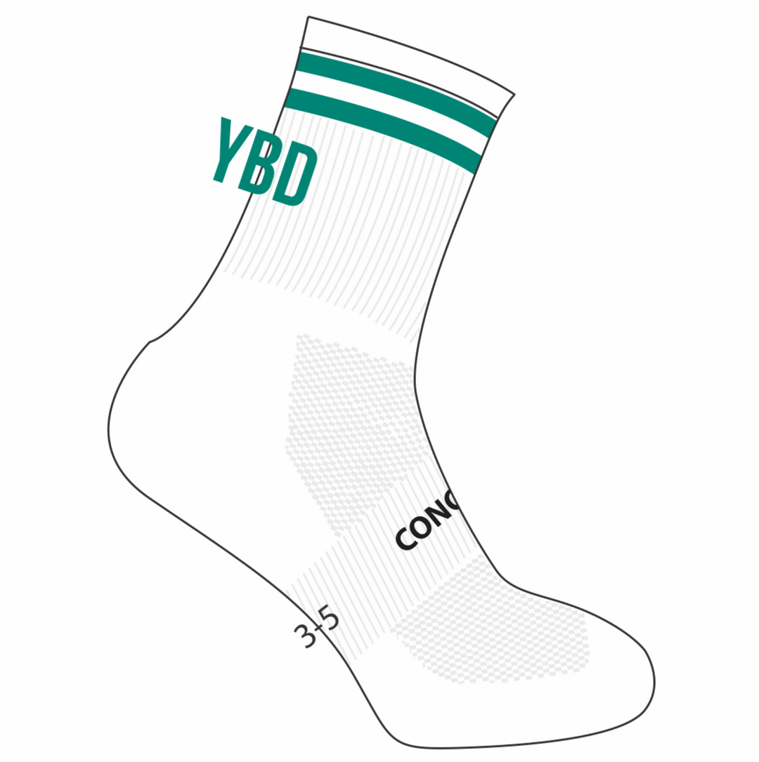 Ysgol Bro Dinefwr GCSE Crew Socks